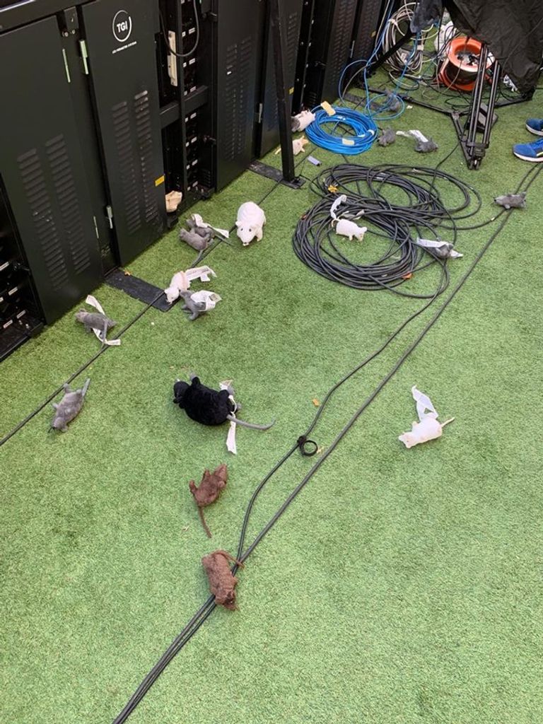 فئران ضد أتلتيكو تيبو كورتوا من المباراة