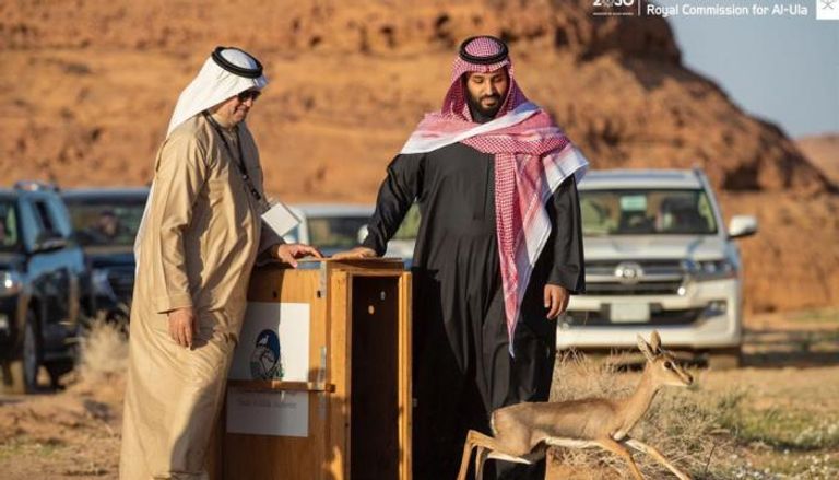محمد بن سلمان يطلق محمية شرعان الطبيعية في محافظة العلا