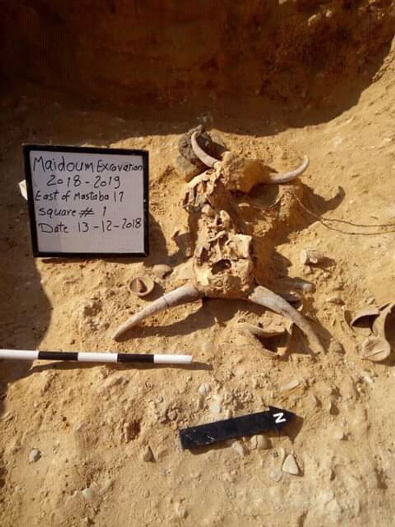 استئناف أعمال الحفائر بمنطقة هرم ميدوم في مصر