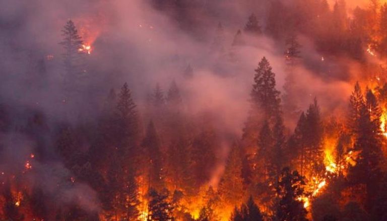  الحرائق المستعرة في غابات منطقة ساوث أيلاند في نيوزيلندا