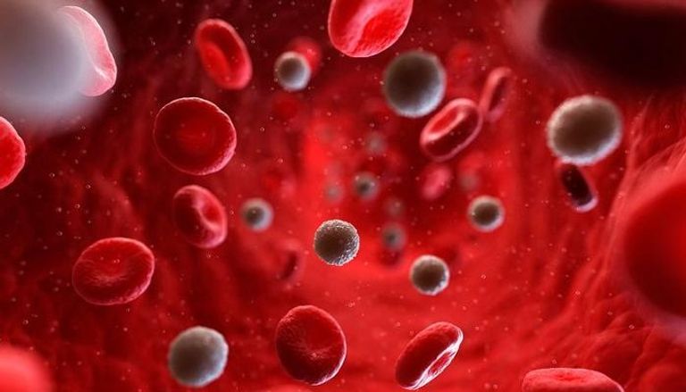 خلايا الدم تتحكم في الشيخوخة والشباب