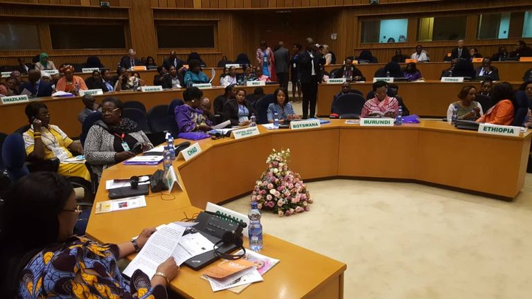جانب من اجتماع السيدات الأول بأفريقيا