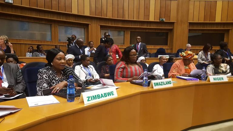 جانب من اجتماع السيدات الأول بأفريقيا