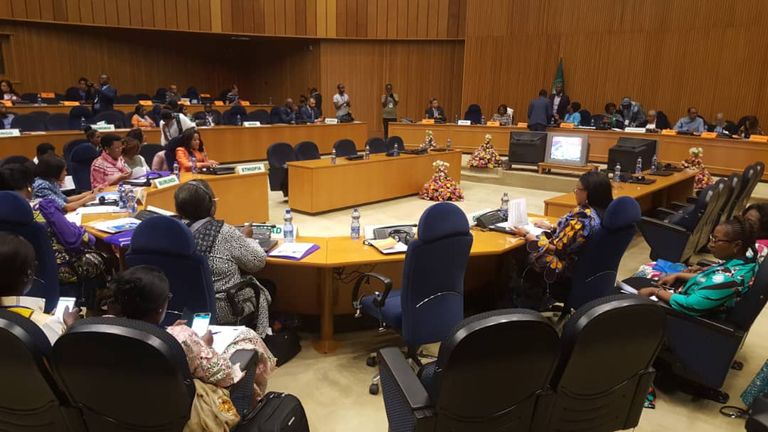 جانب من اجتماع السيدات الأول بأفريقيا