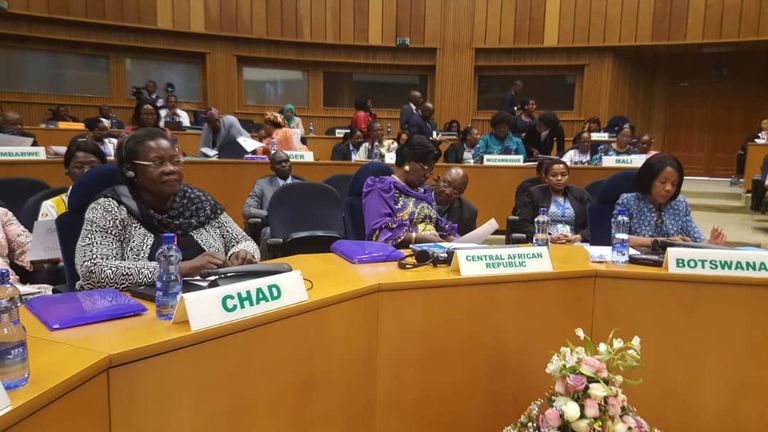 جانب من اجتماع السيدات الأول بأفريقيا