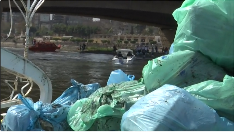 أفراد الحملة في أثناء العمل 