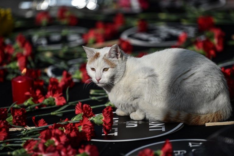 شعار شركة بايدو أكبر محرك بحث في الصين