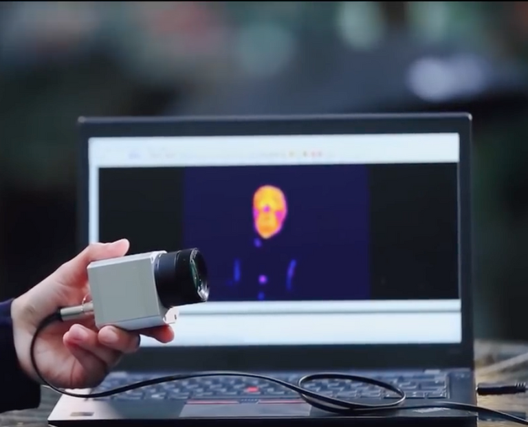 الدكتورة يمنى عبدالرحمن