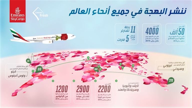 أثناء عملية نقل الزهور