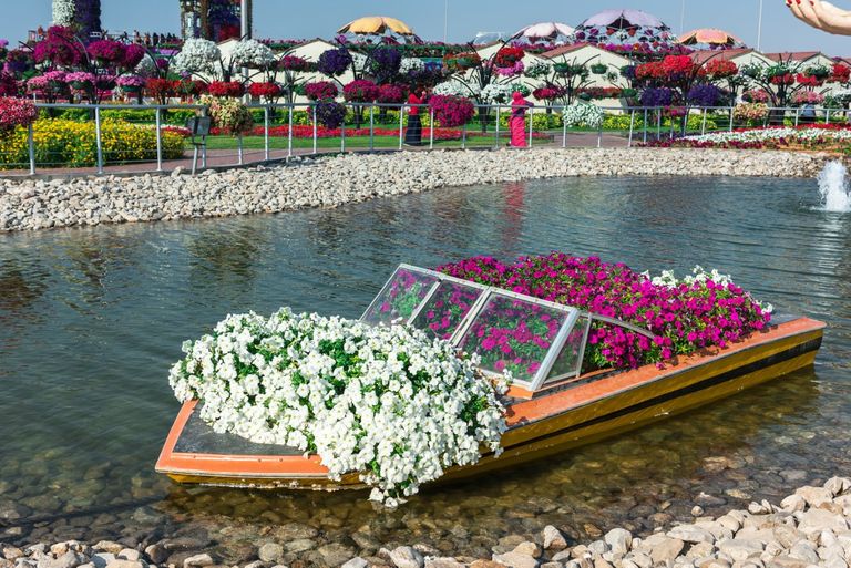 حديقة "ميراكل جاردن" بدبي