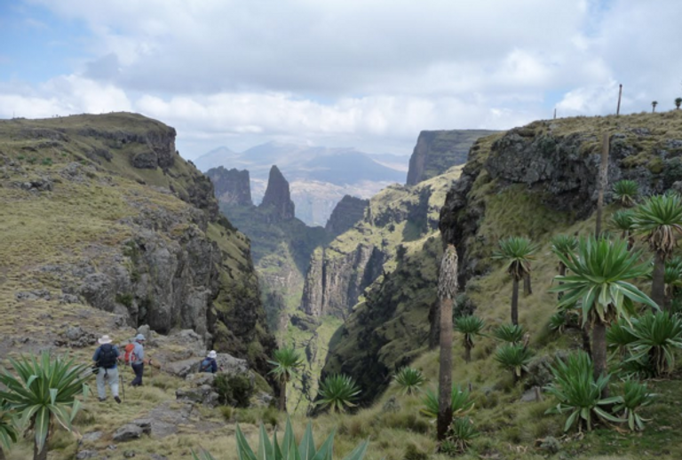 منتزه جبال "سمين".. قبلة السياح في الشمال الإثيوبي