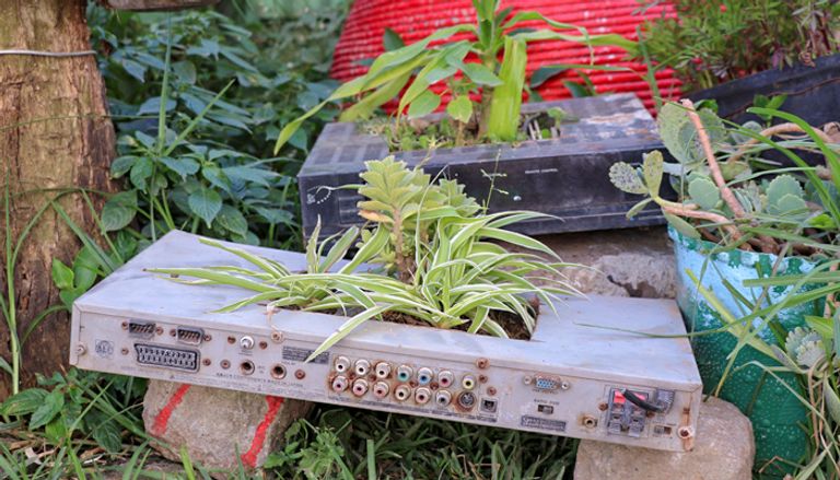 إشتو زودي وسط حديقته