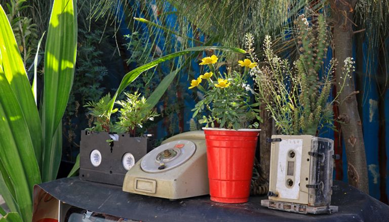 إشتو زودي وسط حديقته