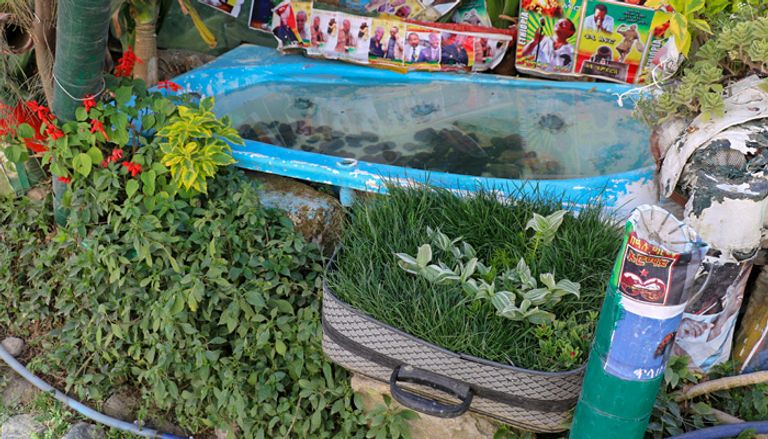 إشتو زودي وسط حديقته