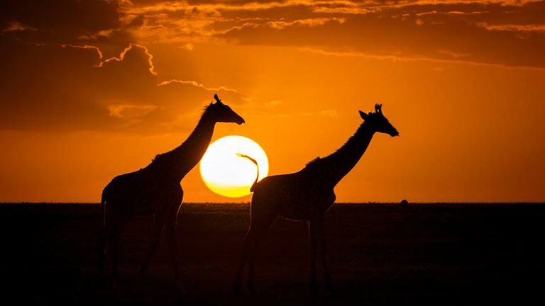 كينيا أجمل بلاد أفريقيا - صورة أرشيفية