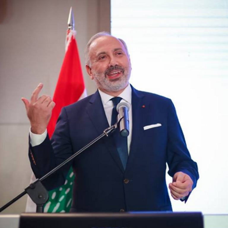  زياد حايك خبير الاستثمار المصرفي اللبناني