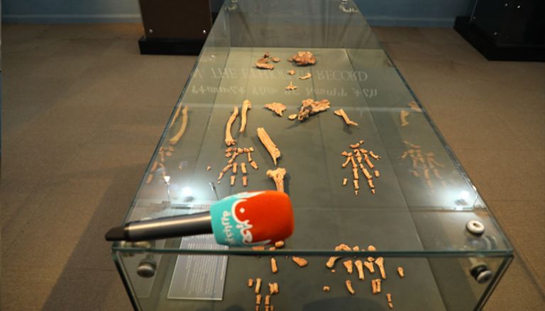 إثيوبيا تدعو للحب والسلام برحلة "لوسي"