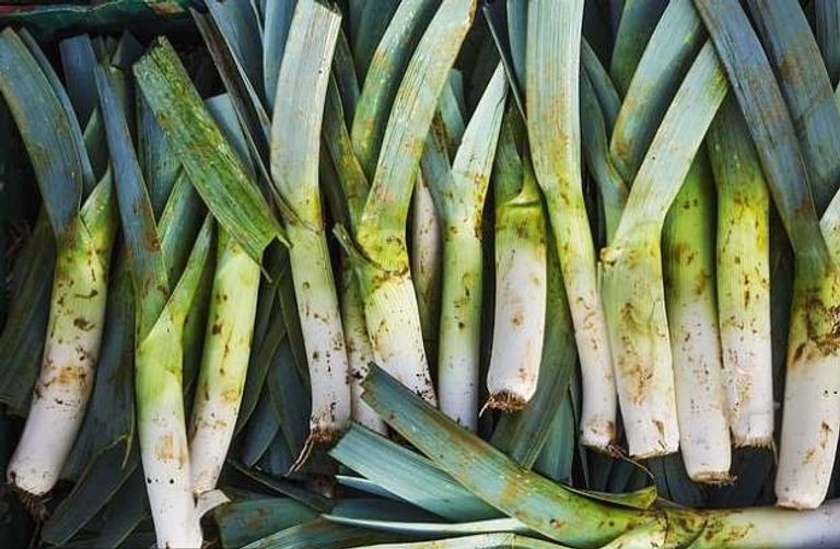 البصل والثوم يقاومان السرطان