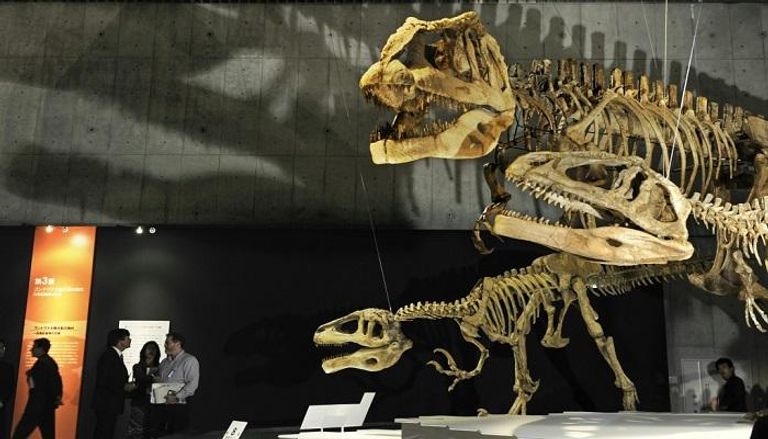 دراستان تعيدان إحياء الجدل حول طريقة انقراض الديناصورات - صورة أرشيفية