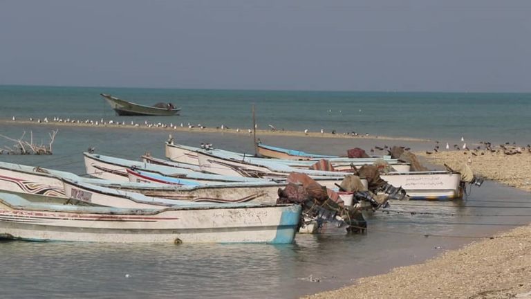 الهلال الأحمر الإماراتي يفتتح مؤسسة الإنزال السمكي في اليمن