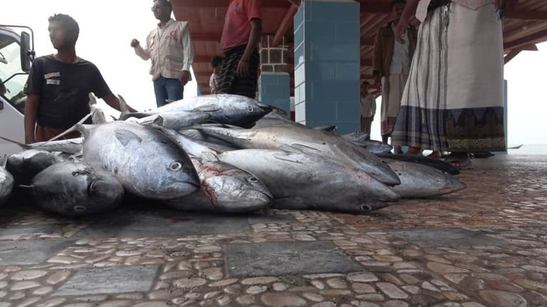 الهلال الأحمر الإماراتي يفتتح مؤسسة الإنزال السمكي في اليمن