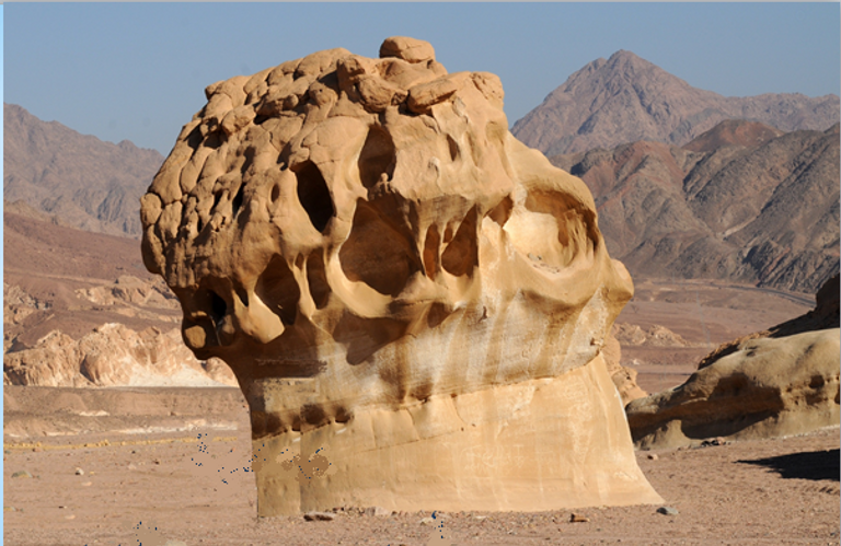 محمية أبو جالوم المصرية