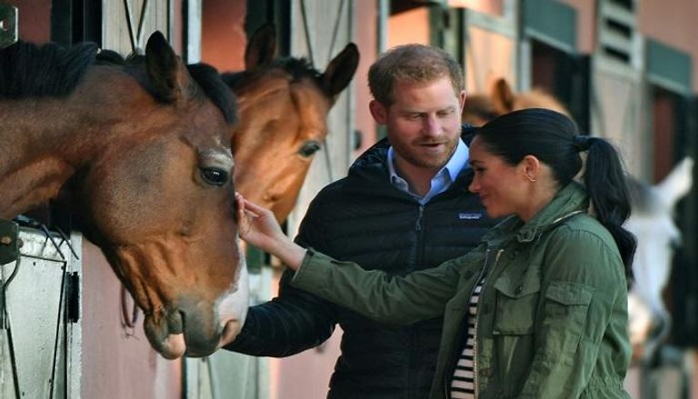 الأمير هاري وزوجته ميجان مع خيول المركز الملكي بالمغرب