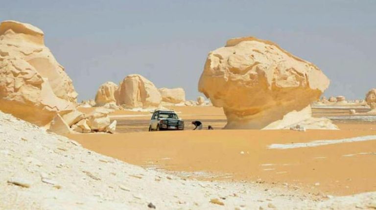رأس شيطان بمصر