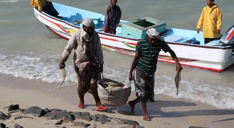 الهلال الأحمر الإماراتي يفتتح مركزا للإنزال السمكي في اليمن