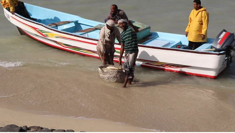 الهلال الأحمر الإماراتي يفتتح مركزا للإنزال السمكي في اليمن