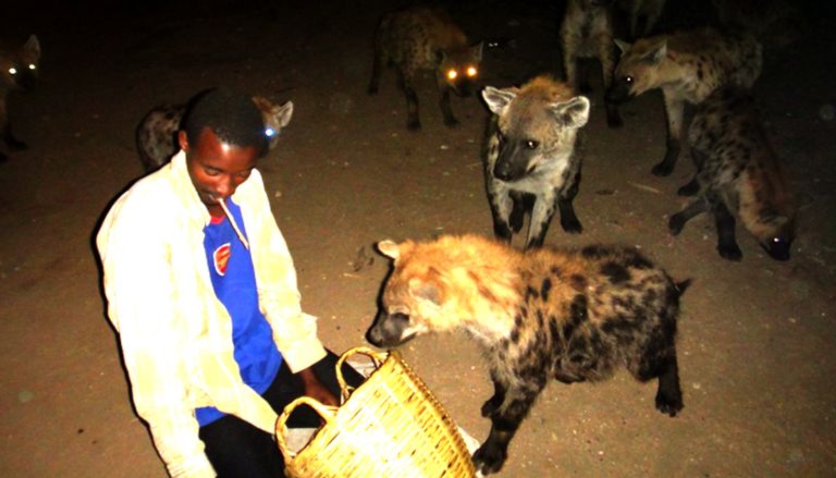 "هرر" مدينة التعايش والمحبة في إثيوبيا