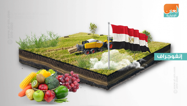 نمو صادرات مصر الزراعية