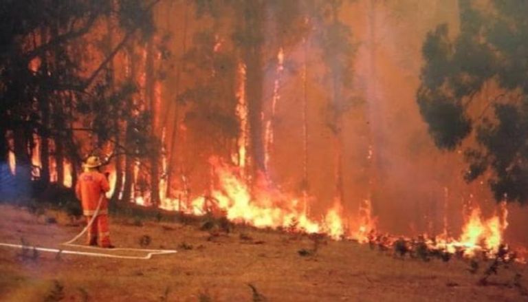 البرق يشعل 100 حريق في ولاية أسترالية 