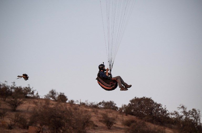 الصقر الحوّام "هوك" مع صاحبه