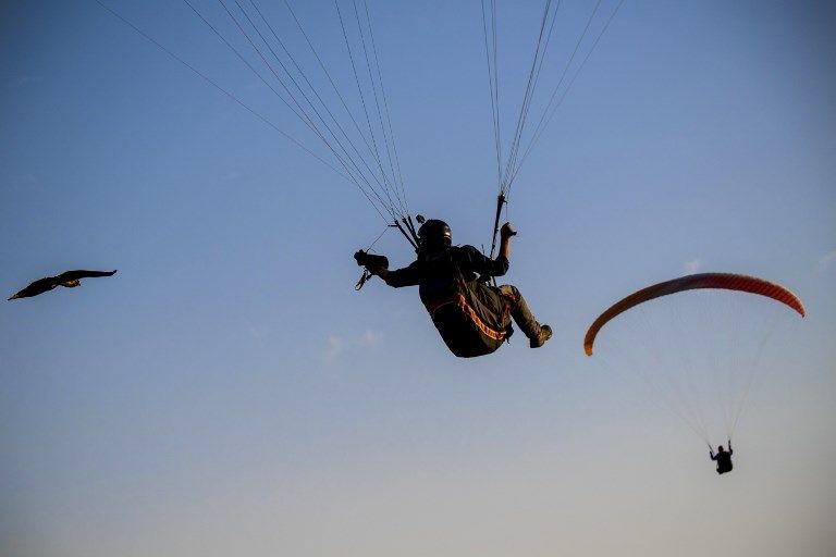 الصقر الحوّام "هوك" مع صاحبه