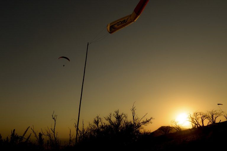 الصقر الحوّام "هوك" مع صاحبه