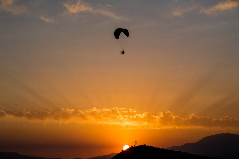 الصقر الحوّام "هوك" مع صاحبه