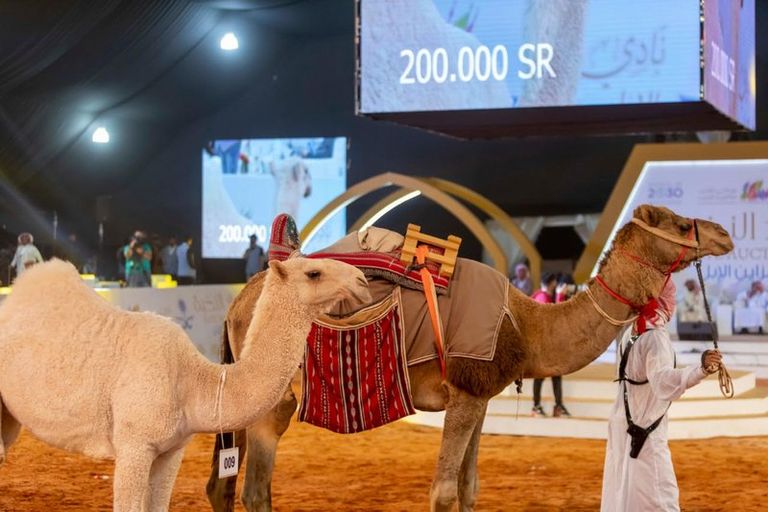 مزاد النخبة في السعودية