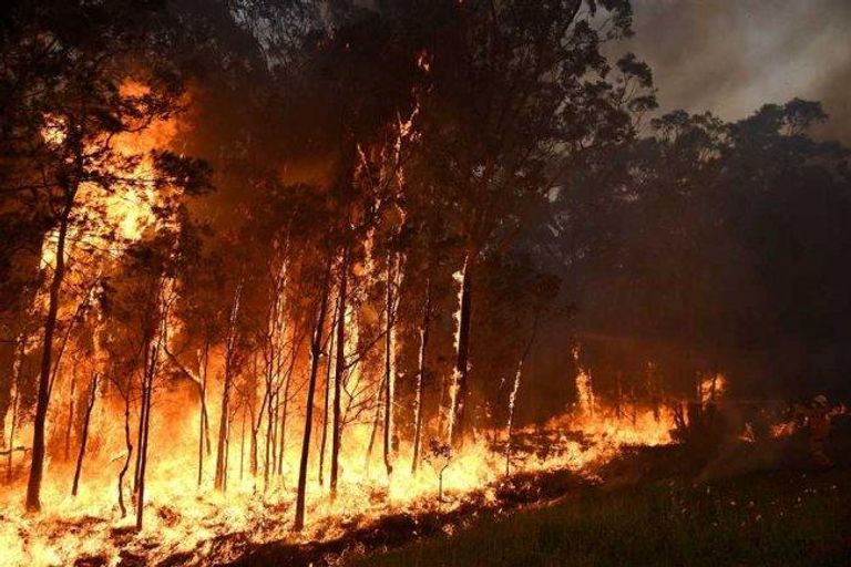 حرائق مستعرة في جنوب أستراليا - أرشيفية