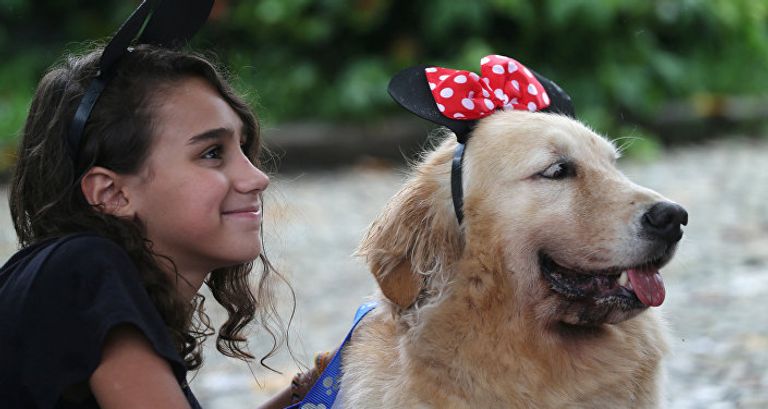 الكلاب تخطف الأنظار بمهرجان في البرازيل