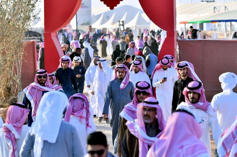 ترويض النسور والصقور في المهرجان