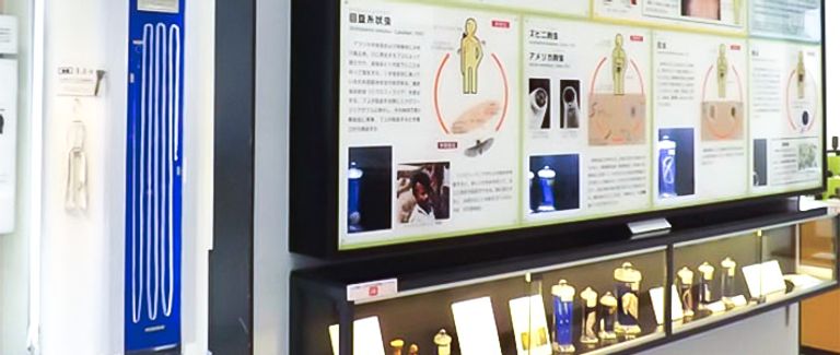 متحف القلوب المحطمة