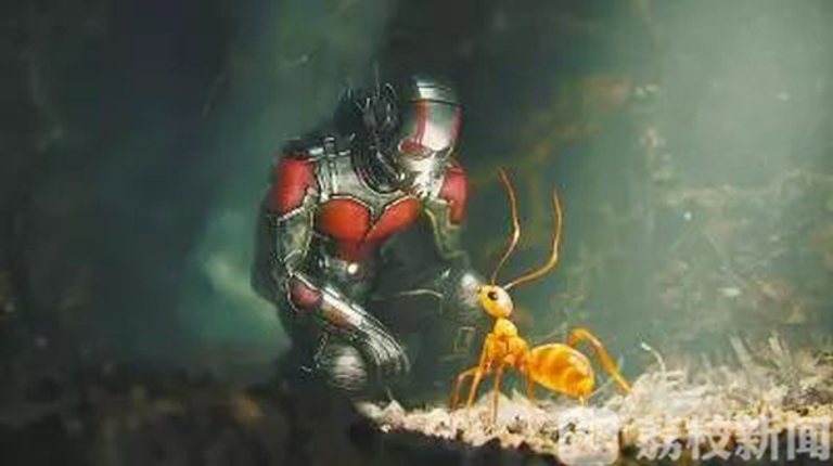 علماء صينيون يكتشفون آلية تمهد لعلاج الأورام البشرية - صورة أرشيفية