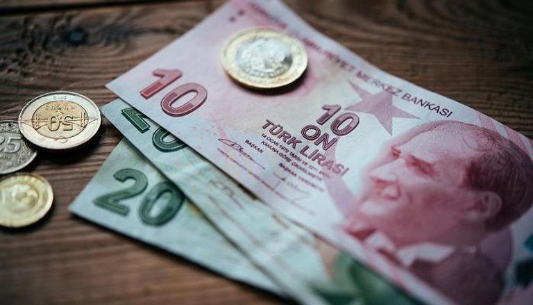 خسرت الليرة التركية نحو 30% من قيمتها مقابل الدولار العام الماضي