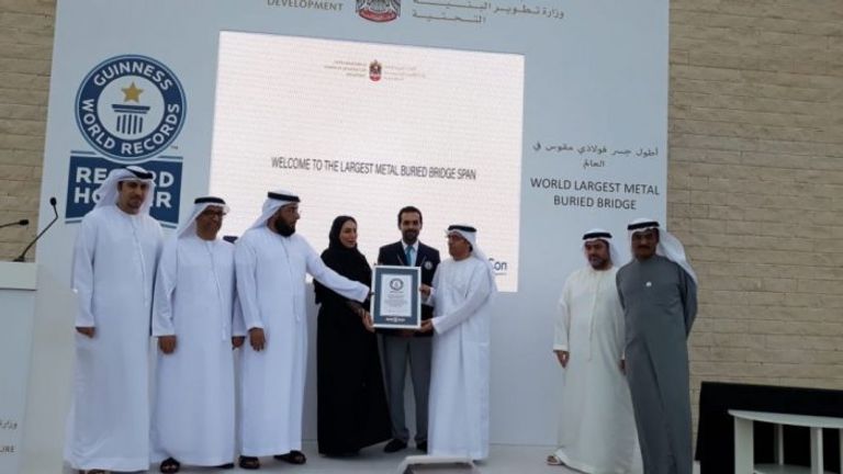 الإمارات تدخل