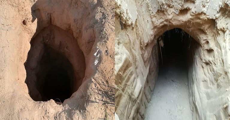 تدمير 9 فتحات أنفاق وضبط 40 قنبلة على شريط الحدود بشمال سيناء تدمير 9 فتحات أنفاق وضبط 40 قنبلة على شريط الحدود بشمال سيناء