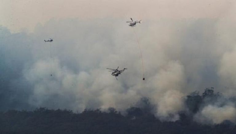 حرائق الغابات تشعل 30 منزلا و70 مبنى في أستراليا