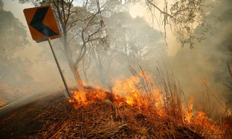 حرائق الغابات تشعل 30 منزلا و70 مبنى في أستراليا