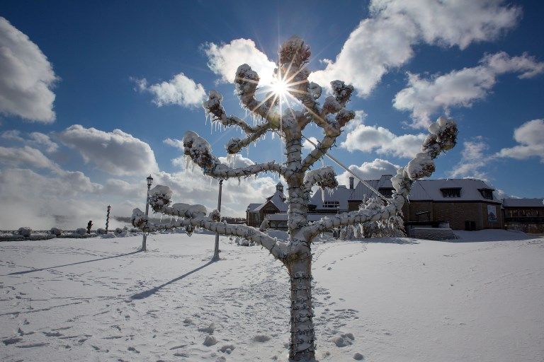 الثلوج تحتجز كنديا أسابيع داخل منزله