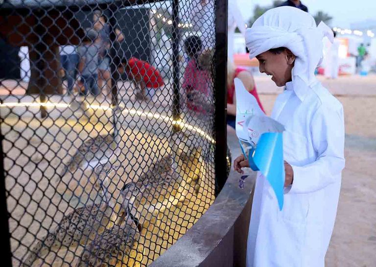 صندوق الحبارى ينقل التعلم التجريبي نحو آفاق جديدة 